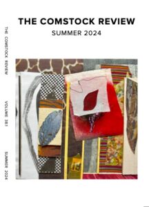 The Comstock Review  Summer 2024 Cover art collage The Inside Story by Michael Sickler multimedia image 